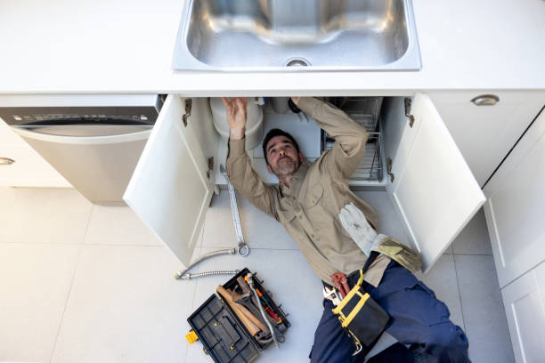Best Plumbing Services Near Me  in Fountainebleau, FL